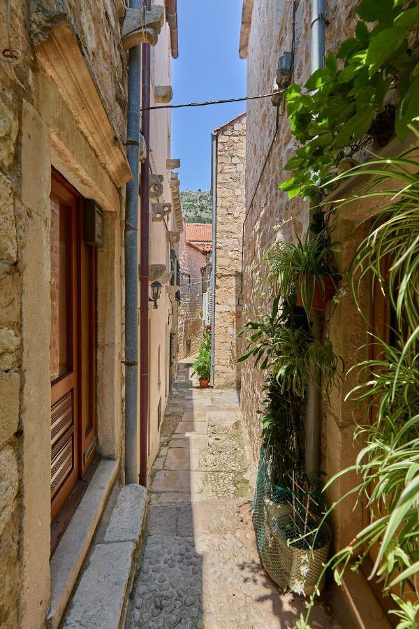 Apartment Hedera Estate Hedera A6 Dubrovnik
